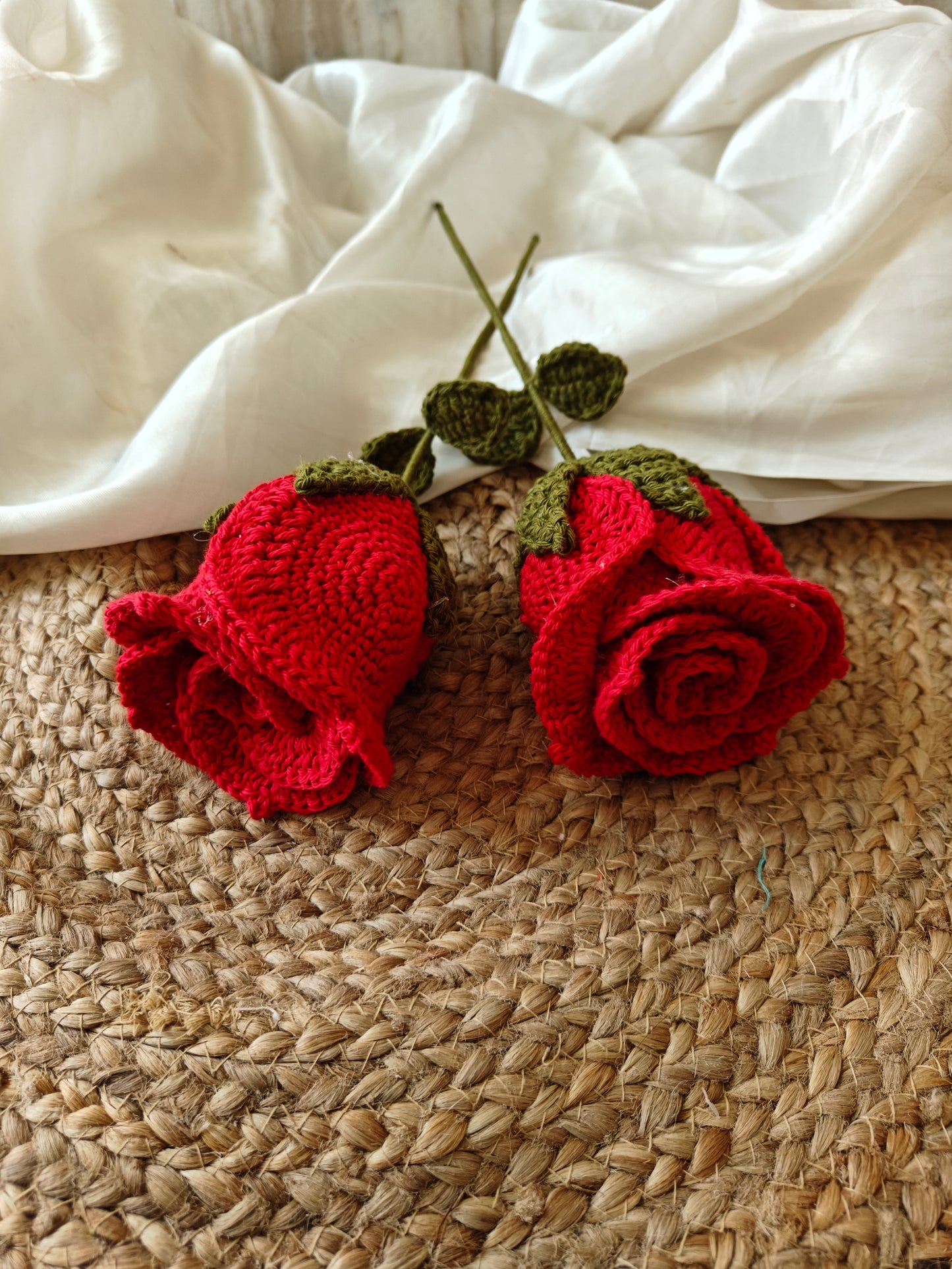 Open rose