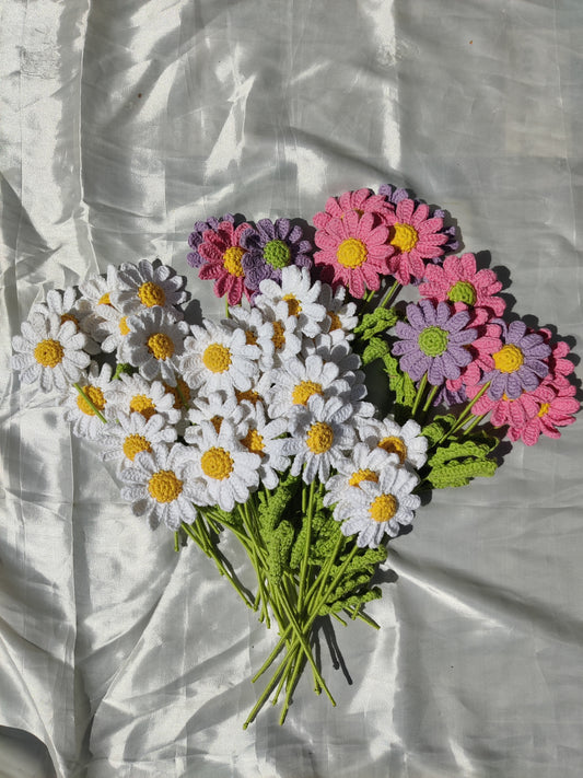 Daisy