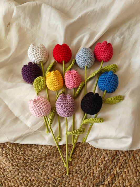 Mini Tulips