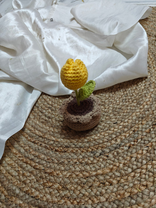 Tulip pot