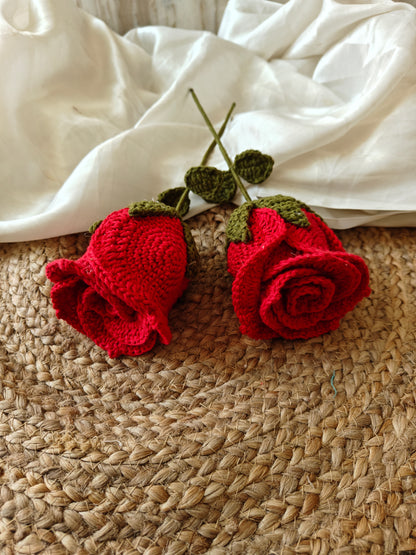 Open rose