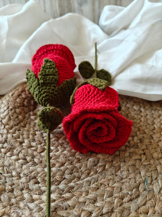 Open rose