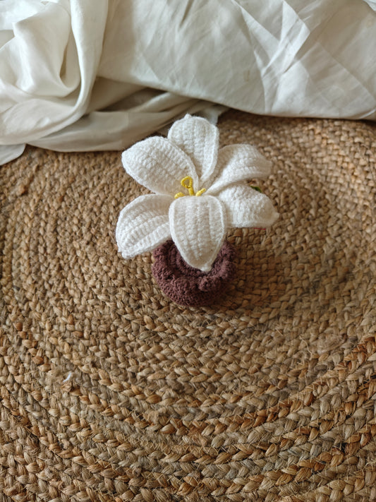 Lily pot