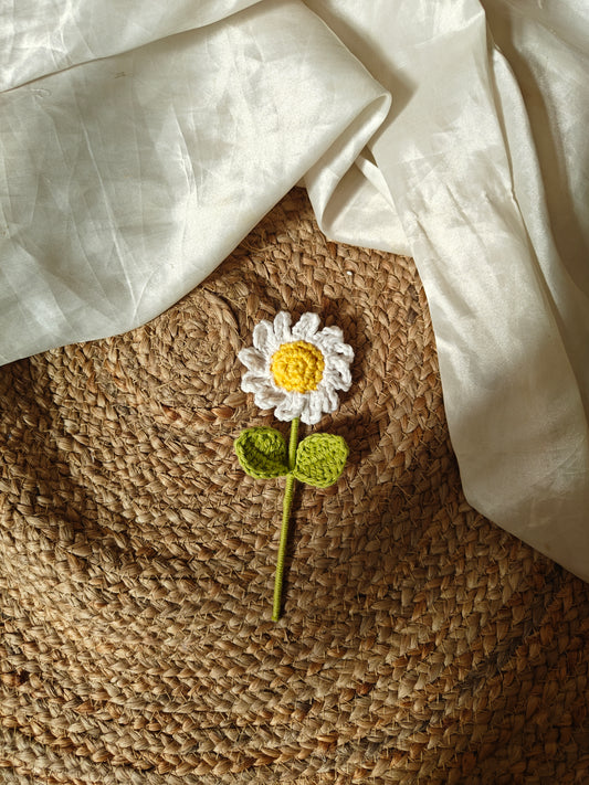 Mini Daisy